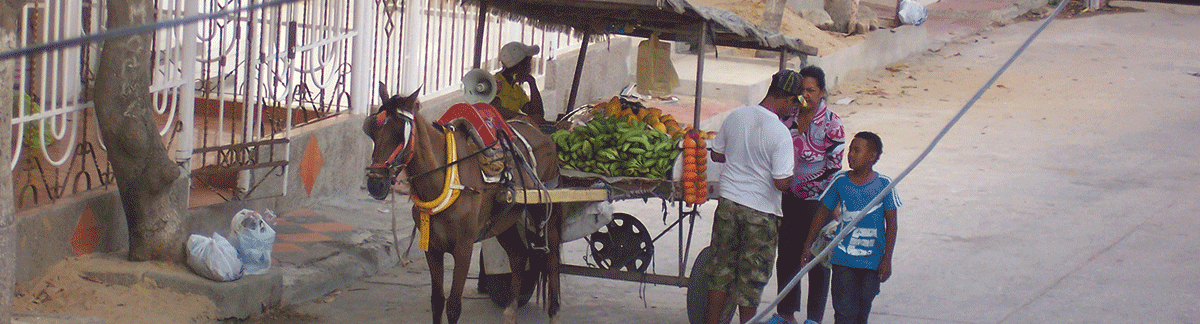 This is a common site - a horse/mule drawn cart of fruits and vegies.