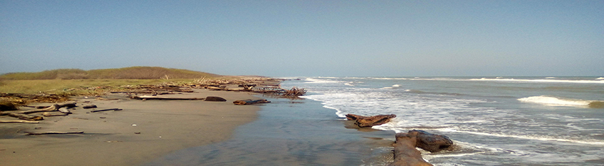 beach_between_PC-PV.jpg