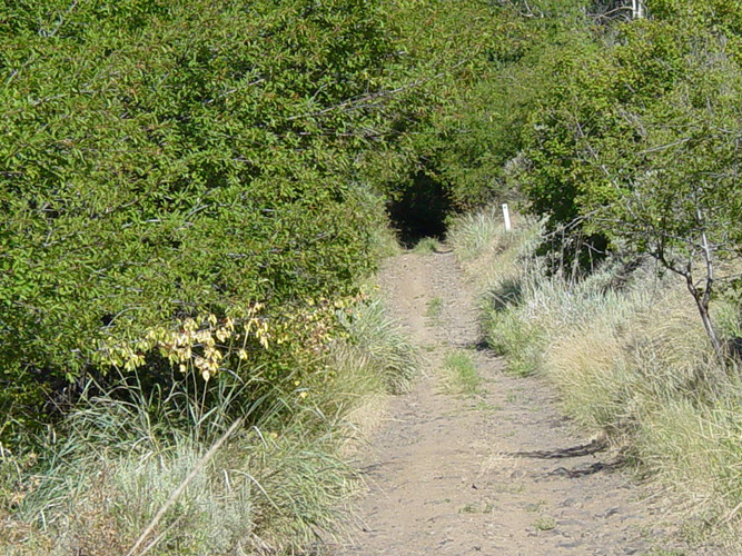 What should I expect when driving into that black hole? (Brewton Gulch Road, central Washington state, USA)