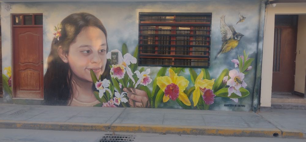 moyobamba_mural.jpg