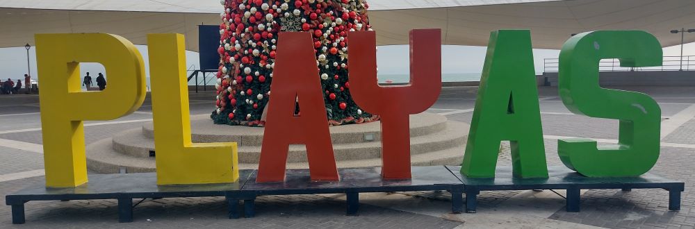 playas_sign.jpg
