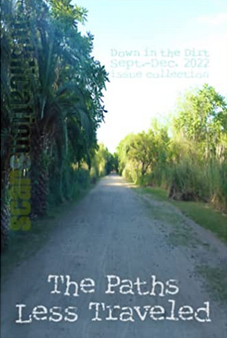 Image of the cover of the linked magazine