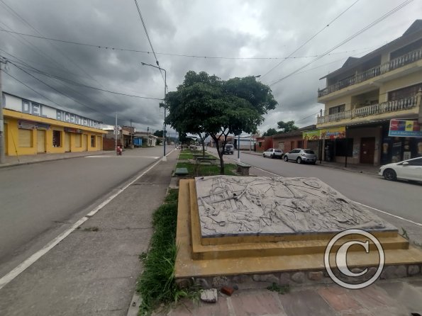 Av. Pres. Peron y Lamadrid (2)