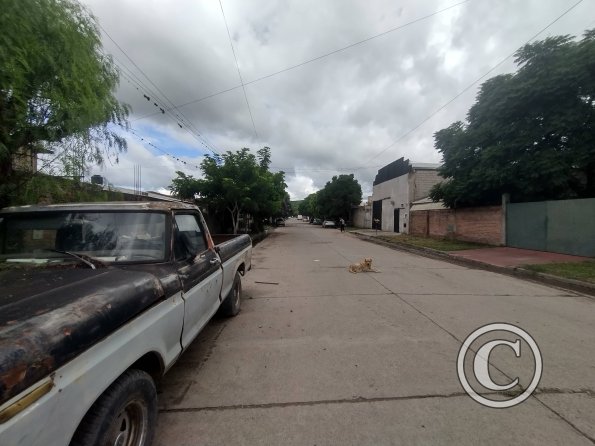 street view (19)