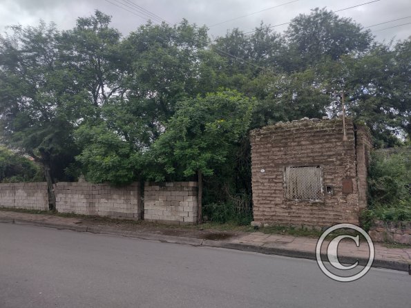 street view (38)