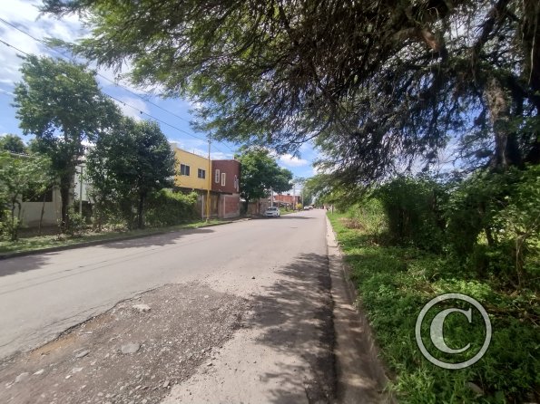 street view (5)