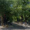 Av. Bartolome Mitre y Mariano Necochea (2)