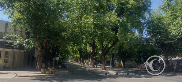 Av. Bartolome Mitre y Mariano Necochea (2)