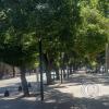 Av. Pedro Molina y 25 de Mayo (2)