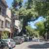 Av. Tomas Godoy Cruz y 9 de Julio (2)