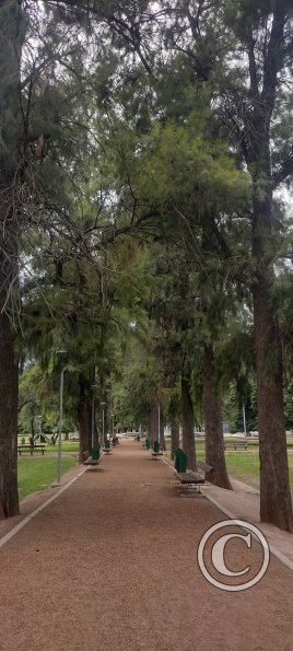 Parque Civico (13)
