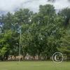 Parque Civico (14)