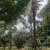 Parque Civico (15)