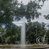 Parque Civico (16)
