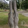 Parque Civico (17)