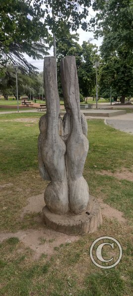 Parque Civico (17)