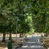 Parque Civico (4)