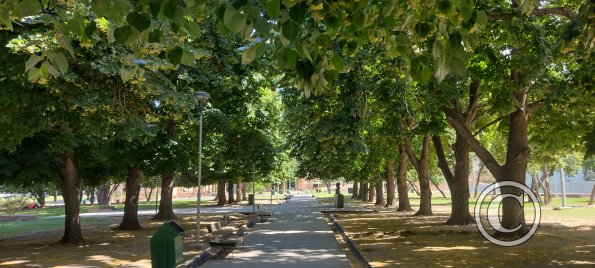 Parque Civico (4)