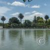 Parque San Martín (10)