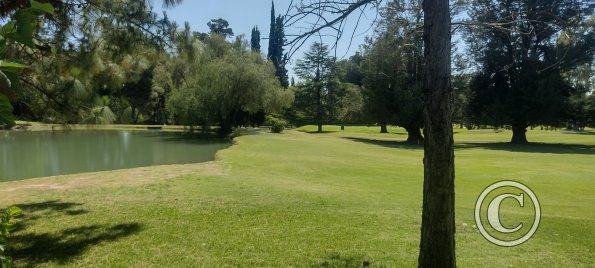 Parque San Martín (11)