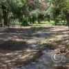 Parque San Martín (19)