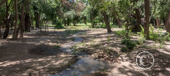 Parque San Martín (19)