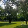 Parque San Martín (2)