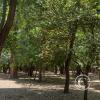 Parque San Martín (20)