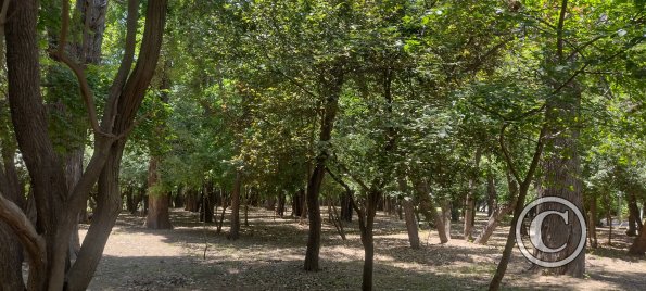 Parque San Martín (20)