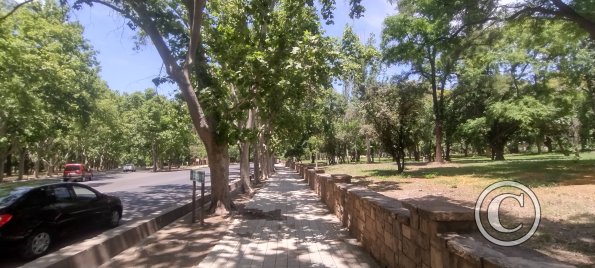 Parque San Martín (22)