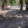 Parque San Martín (23)