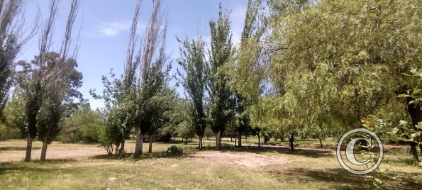 Parque San Martín (25)