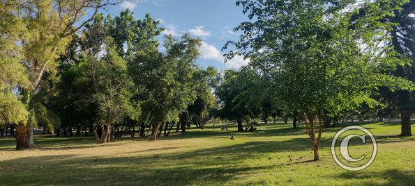 Parque San Martín (8)
