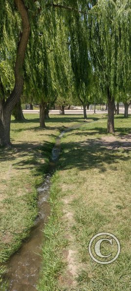 Parque San Martín (9)