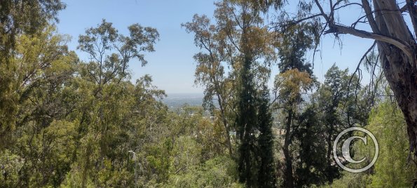 Parque San Martín at the hilltop viewpoint (6)