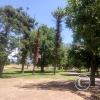 Parque del Acceso Este, along Highway RN7 (3)