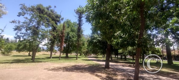 Parque del Acceso Este, along Highway RN7 (3)
