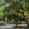 Plaza Belgrano at Cap. de Fragata Moyano y La Pampa