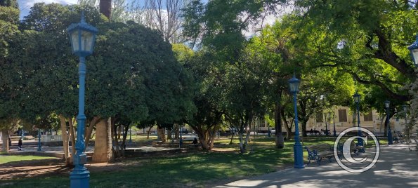Plaza Independencia (4)