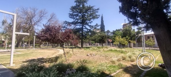Plaza Sarmiento at Juan Galo de Lavalle y Buenos Aires (3)