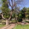 Plaza Sarmiento at Juan Galo de Lavalle y Buenos Aires (4)