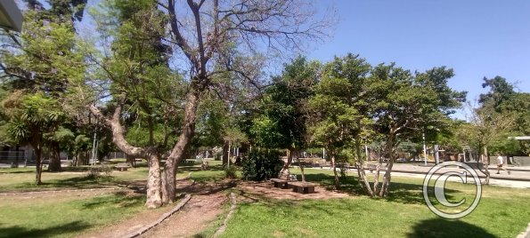 Plaza Sarmiento at Juan Galo de Lavalle y Buenos Aires (4)