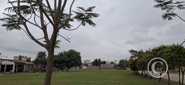 Calle Maximo Nougues