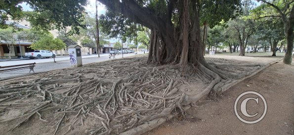 Plaza Gral. Pizarro (2)