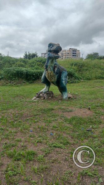 IMG_20230402_141810194_HDR