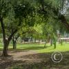 IMG_20230402_153201123_HDR