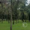 Parque Sarmiento at Av. Marcelo T. de Alvear y Juana Azurduy de Padilla (7)
