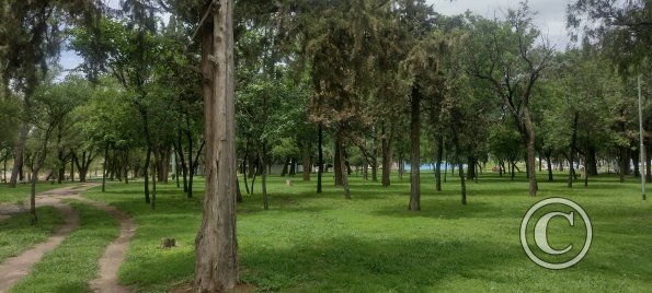 Paseo de La Costanera (7)