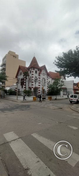 Paunero y Constitucion