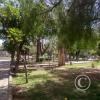 Plaza Juan Pascual Pringles (2)